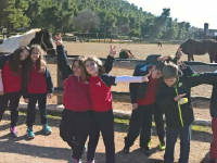 Click for larger image.