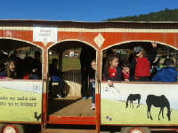 Click for larger image.