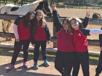 Click for larger image.