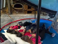 Click for larger image.