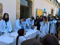 Click for larger image.