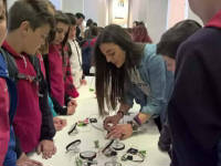 Click for larger image.