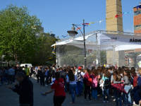 Click for larger image.