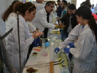 Click for larger image.