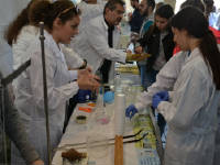 Click for larger image.