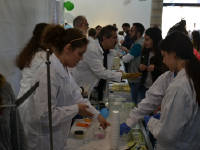 Click for larger image.