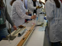 Click for larger image.