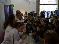 Click for larger image.