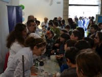 Click for larger image.