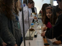 Click for larger image.