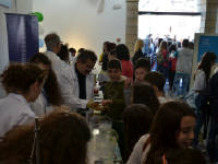 Click for larger image.