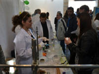 Click for larger image.