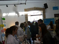 Click for larger image.