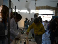 Click for larger image.