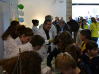 Click for larger image.