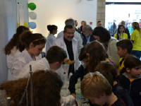 Click for larger image.