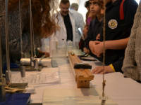 Click for larger image.