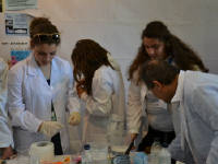 Click for larger image.