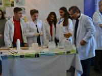 Click for larger image.