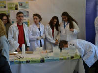 Click for larger image.