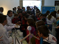 Click for larger image.