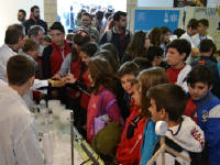 Click for larger image.