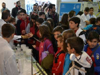 Click for larger image.