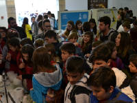 Click for larger image.