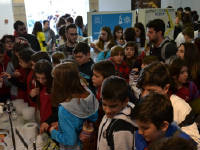 Click for larger image.