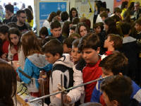 Click for larger image.