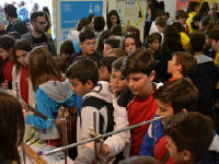 Click for larger image.