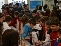 Click for larger image.