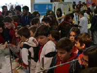 Click for larger image.