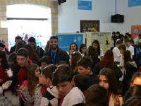 Click for larger image.