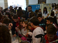 Click for larger image.