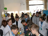 Click for larger image.