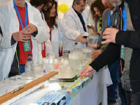 Click for larger image.