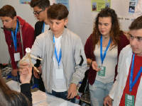 Click for larger image.