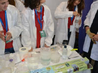 Click for larger image.