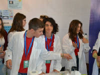 Click for larger image.