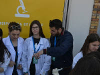 Click for larger image.