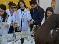 Click for larger image.