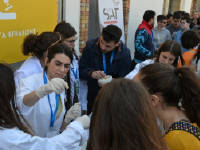 Click for larger image.