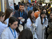 Click for larger image.