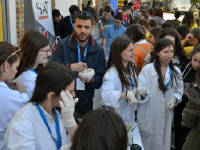 Click for larger image.