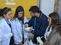 Click for larger image.