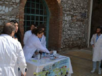 Click for larger image.