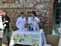 Click for larger image.