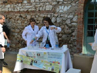 Click for larger image.