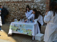 Click for larger image.